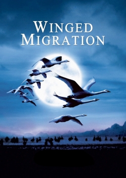 Winged Migration